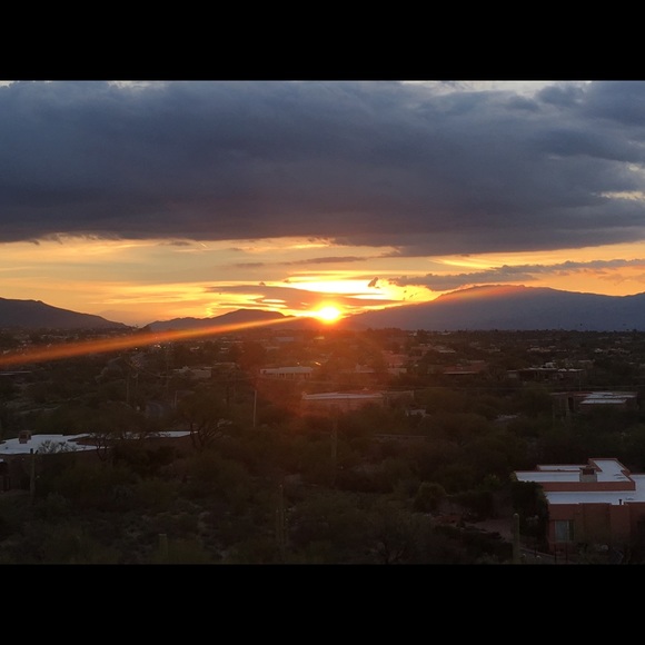 Meet your Posher, Kandy! - Picture 1 of 7